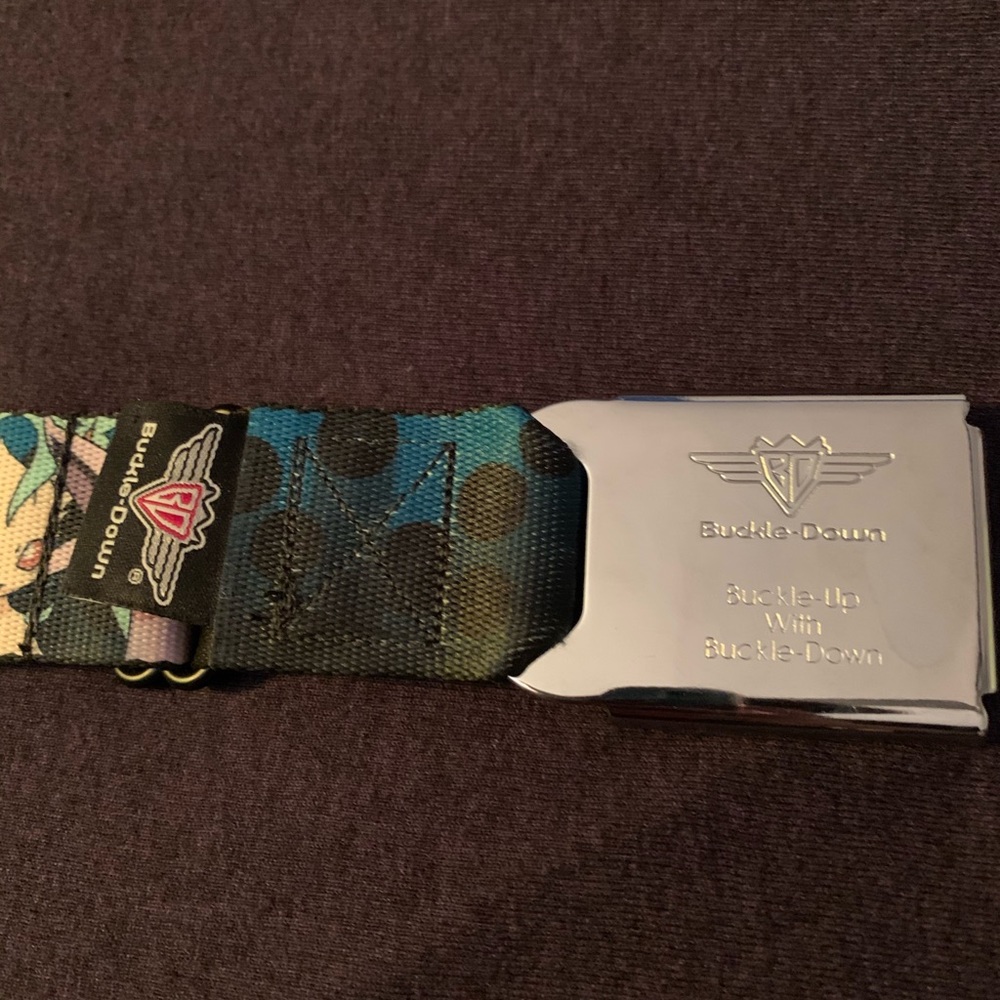 Eevee Pokémon Evolution belt
